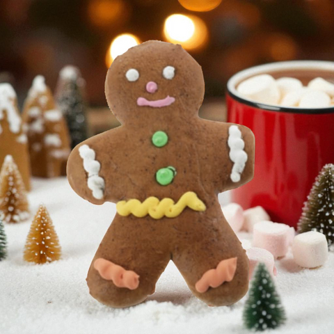 Bonhomme pain d'épices 85g
